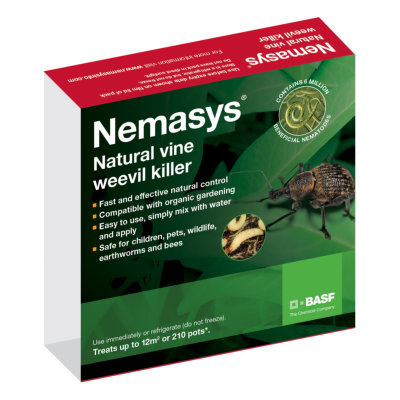 Nemasys Vine Weevil Killer Nematodes - Small Packet, 12m2